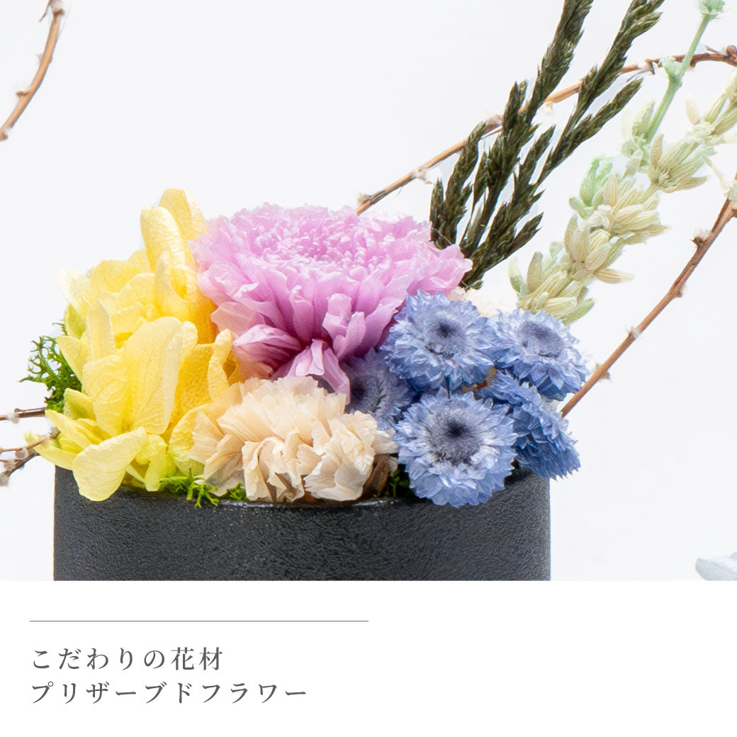 仏花 BUCCCAシリーズ 「いしずえ」