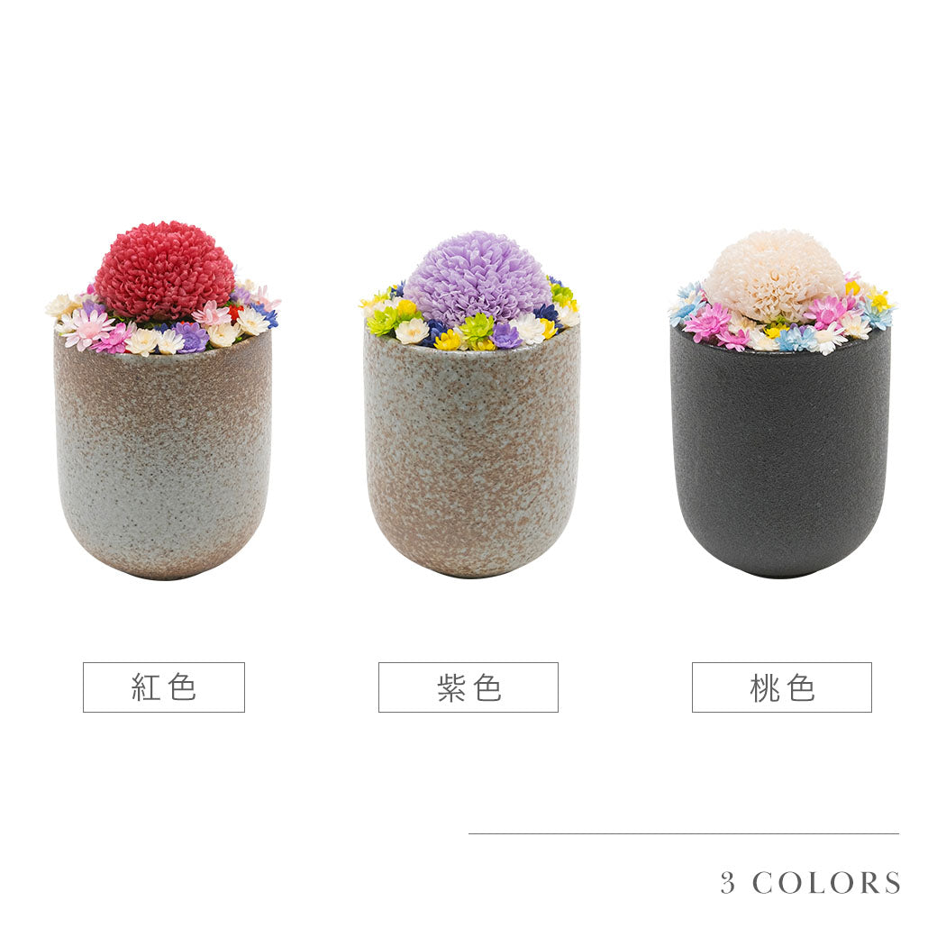仏花 BUCCCAシリーズ 「うらうら」