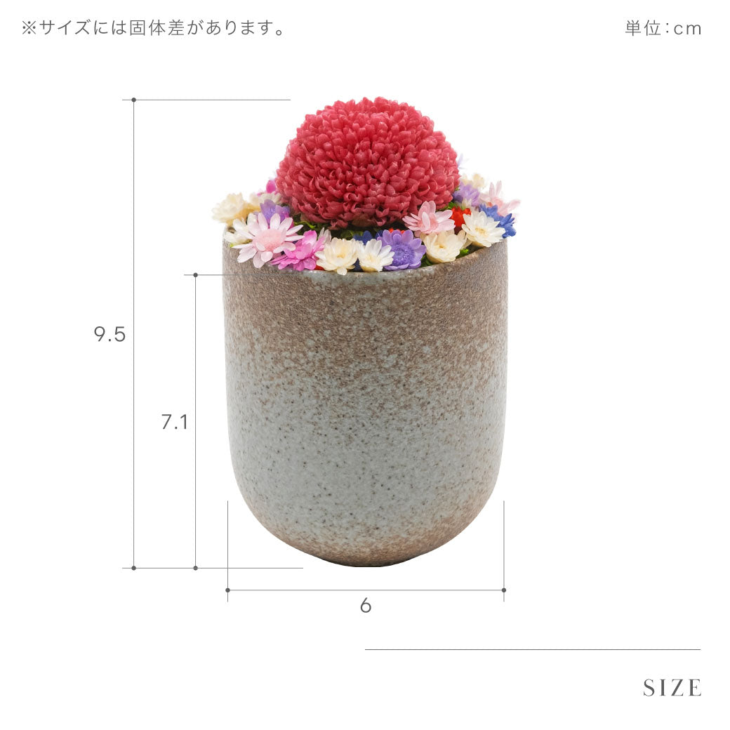 仏花 BUCCCAシリーズ 「うらうら」