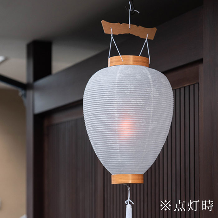 盆提灯 中尺 柾 白紋天