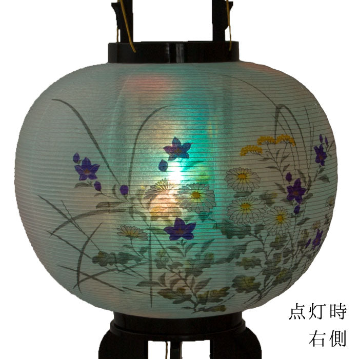 盆提灯 有馬 11号 一対