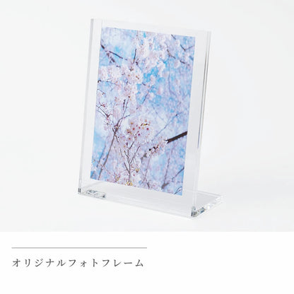 仏壇セット MEGURI S クリアA コーディネート