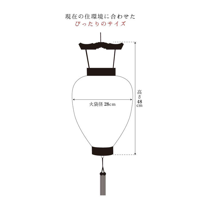 盆提灯 中尺 柾 白紋天