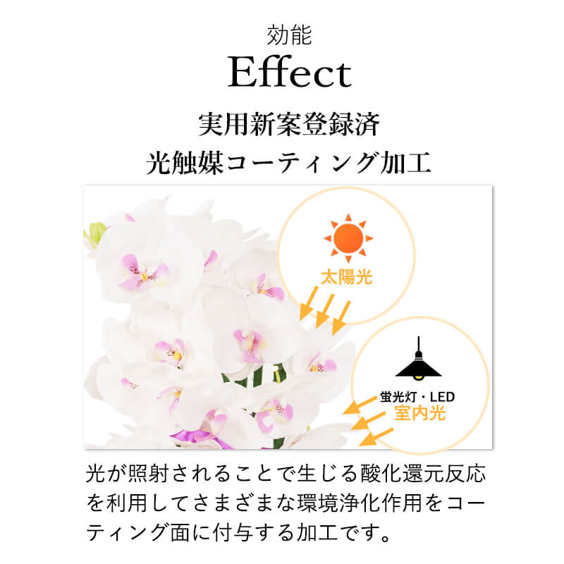 盆提灯 いろは480 芙蓉